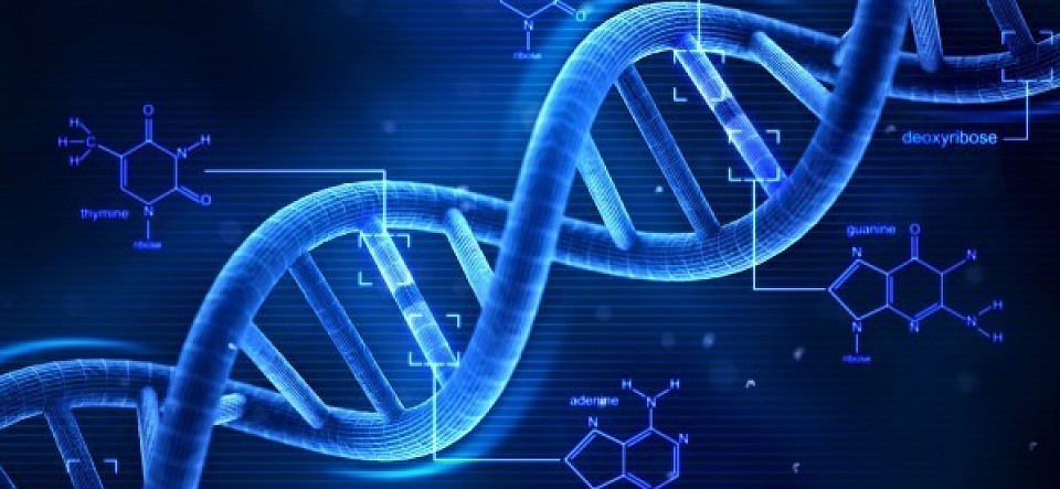 DNA